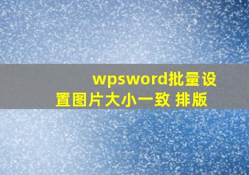 wpsword批量设置图片大小一致 排版